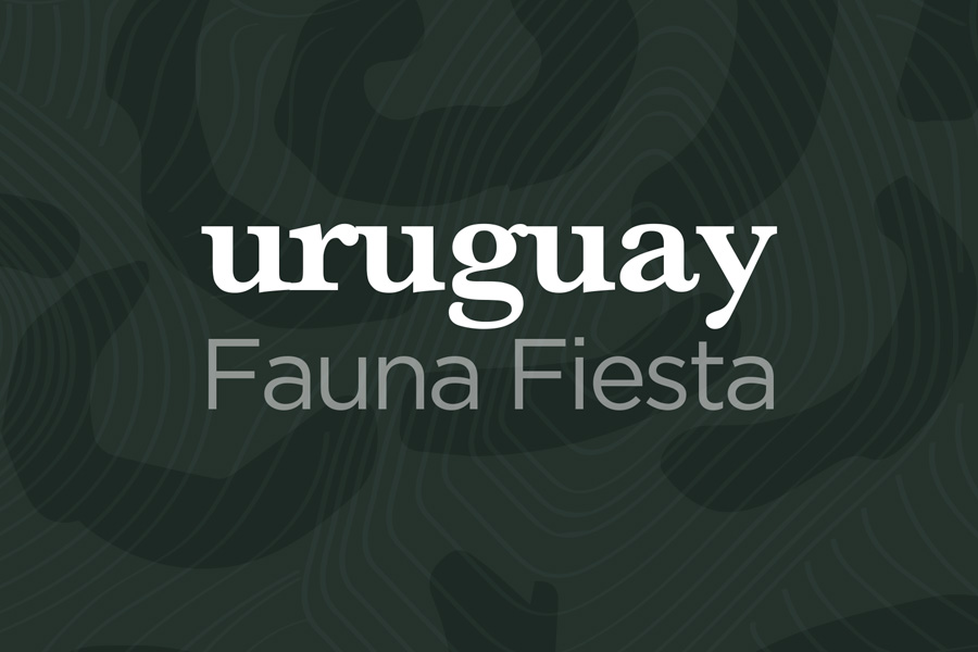 De Rosa Collections Presents: Uruguay Fauna Fiesta